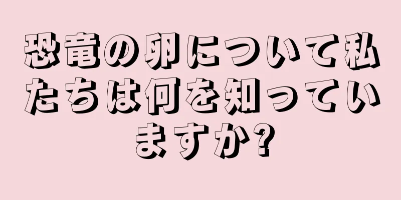 恐竜の卵について私たちは何を知っていますか?