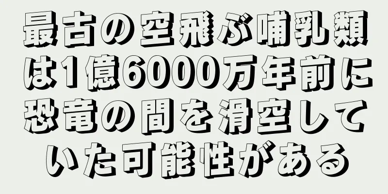 最古の空飛ぶ哺乳類は1億6000万年前に恐竜の間を滑空していた可能性がある