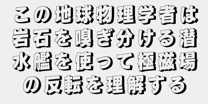 この地球物理学者は岩石を嗅ぎ分ける潜水艦を使って極磁場の反転を理解する