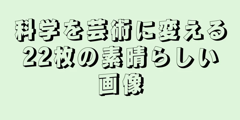 科学を芸術に変える22枚の素晴らしい画像