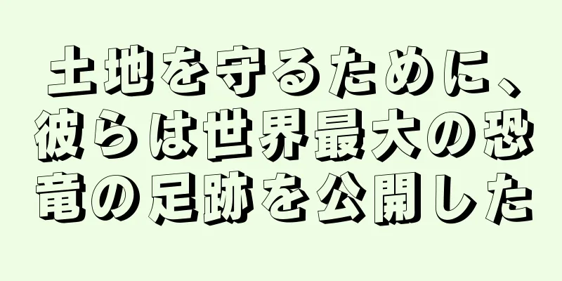 土地を守るために、彼らは世界最大の恐竜の足跡を公開した