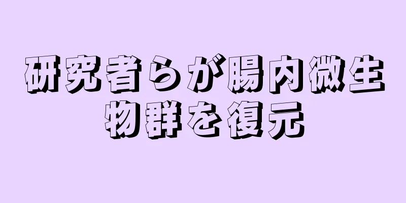 研究者らが腸内微生物群を復元