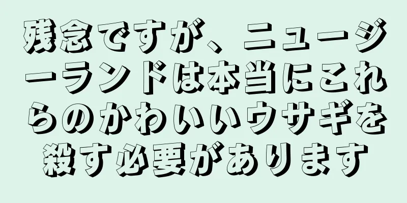 残念ですが、ニュージーランドは本当にこれらのかわいいウサギを殺す必要があります