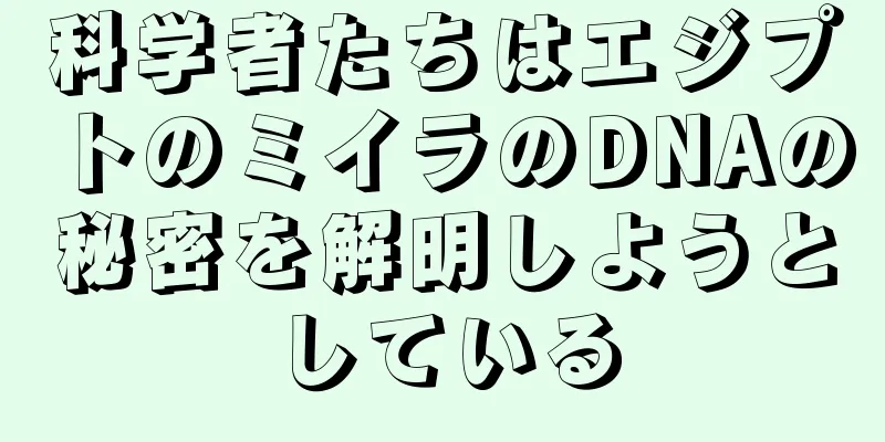 科学者たちはエジプトのミイラのDNAの秘密を解明しようとしている