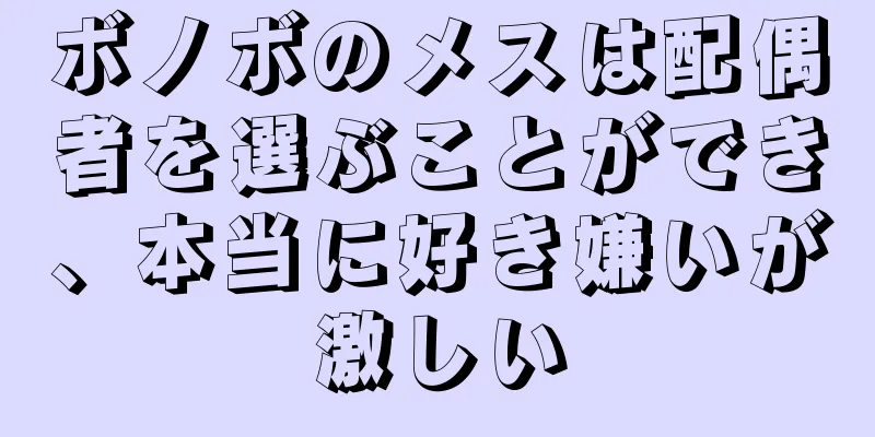 ボノボのメスは配偶者を選ぶことができ、本当に好き嫌いが激しい