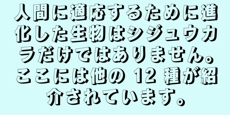 人間に適応するために進化した生物はシジュウカラだけではありません。ここには他の 12 種が紹介されています。