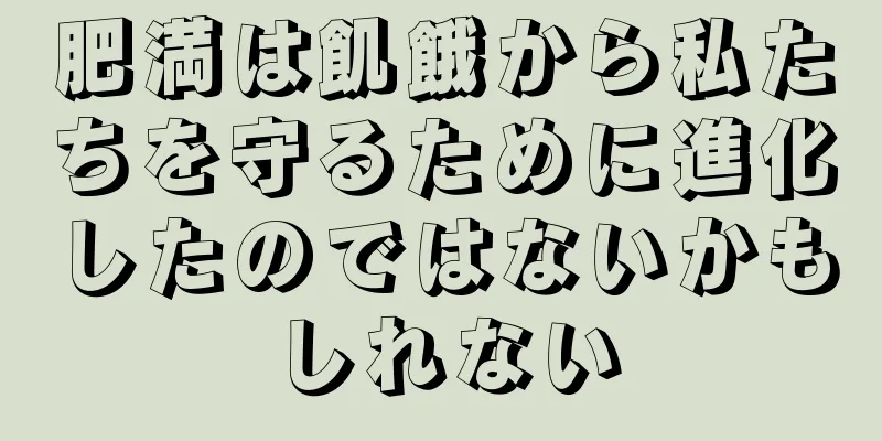 肥満は飢餓から私たちを守るために進化したのではないかもしれない