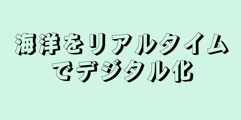 海洋をリアルタイムでデジタル化