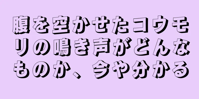 腹を空かせたコウモリの鳴き声がどんなものか、今や分かる