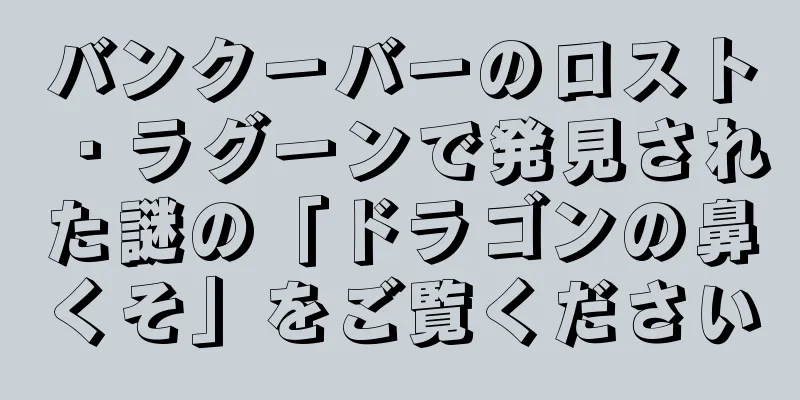 バンクーバーのロスト・ラグーンで発見された謎の「ドラゴンの鼻くそ」をご覧ください