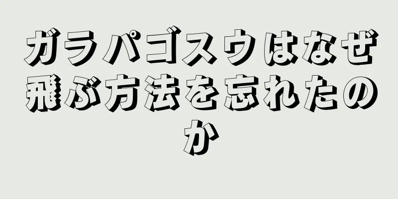 ガラパゴスウはなぜ飛ぶ方法を忘れたのか