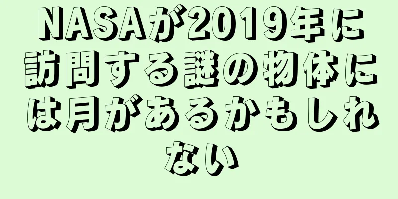 NASAが2019年に訪問する謎の物体には月があるかもしれない