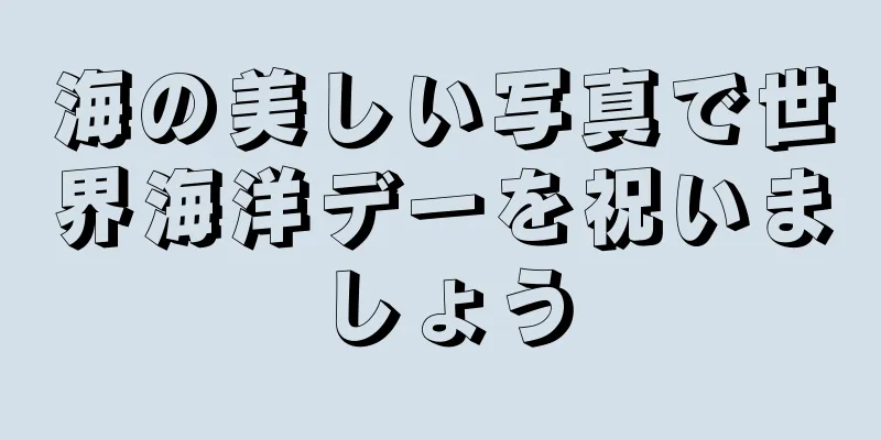 海の美しい写真で世界海洋デーを祝いましょう
