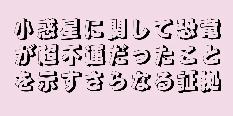 小惑星に関して恐竜が超不運だったことを示すさらなる証拠