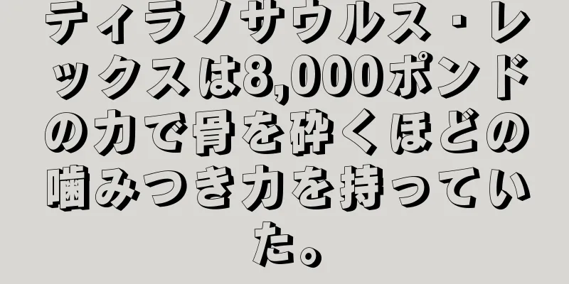 ティラノサウルス・レックスは8,000ポンドの力で骨を砕くほどの噛みつき力を持っていた。