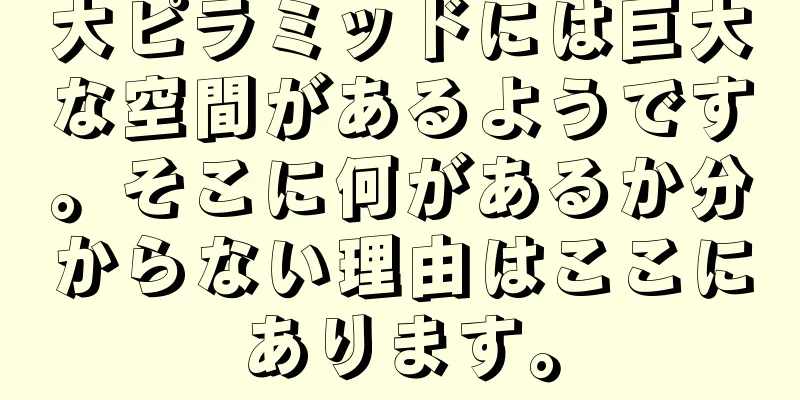 大ピラミッドには巨大な空間があるようです。そこに何があるか分からない理由はここにあります。