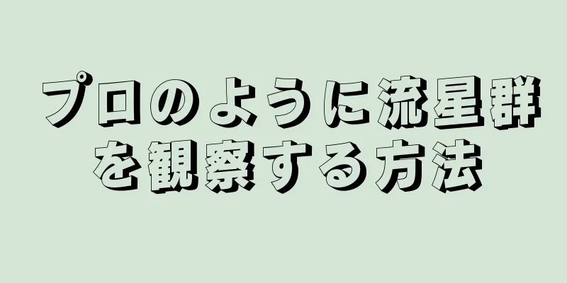 プロのように流星群を観察する方法