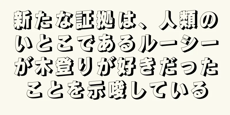 新たな証拠は、人類のいとこであるルーシーが木登りが好きだったことを示唆している