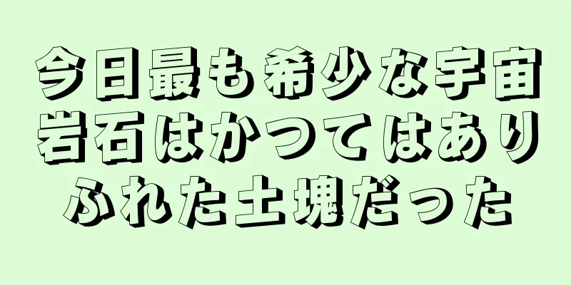 今日最も希少な宇宙岩石はかつてはありふれた土塊だった