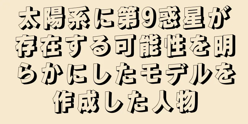 太陽系に第9惑星が存在する可能性を明らかにしたモデルを作成した人物