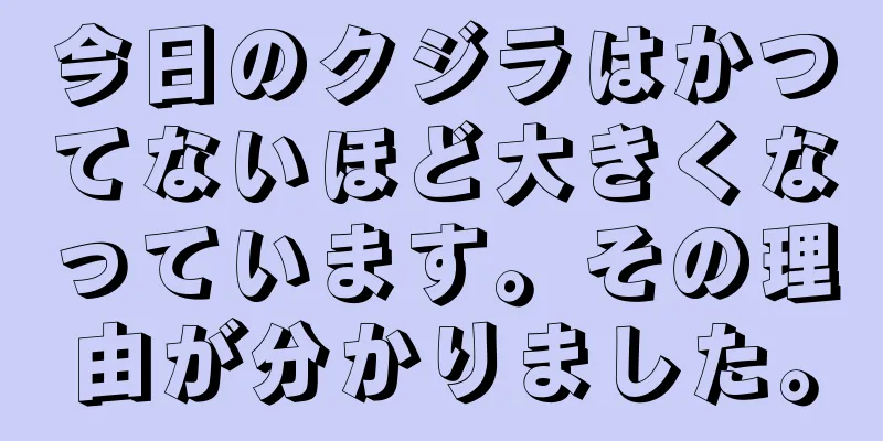 今日のクジラはかつてないほど大きくなっています。その理由が分かりました。