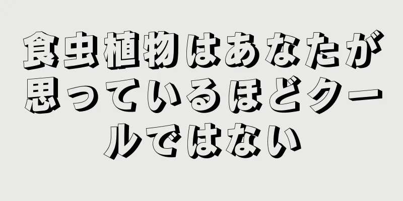 食虫植物はあなたが思っているほどクールではない