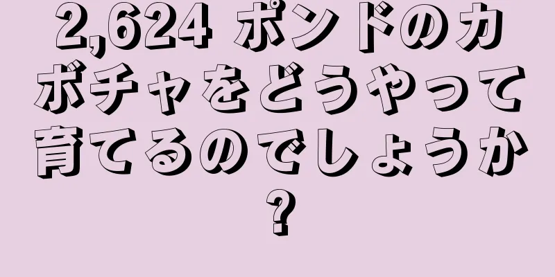 2,624 ポンドのカボチャをどうやって育てるのでしょうか?