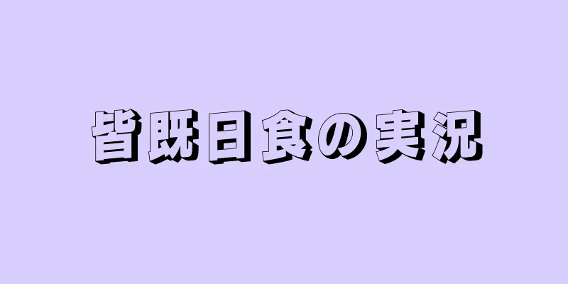 皆既日食の実況
