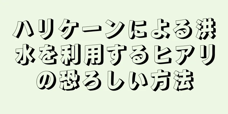 ハリケーンによる洪水を利用するヒアリの恐ろしい方法