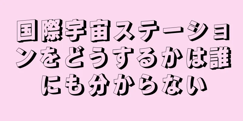 国際宇宙ステーションをどうするかは誰にも分からない