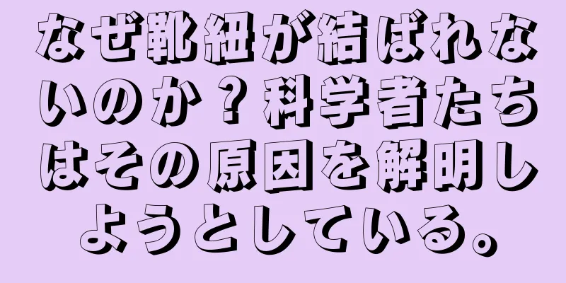 なぜ靴紐が結ばれないのか？科学者たちはその原因を解明しようとしている。