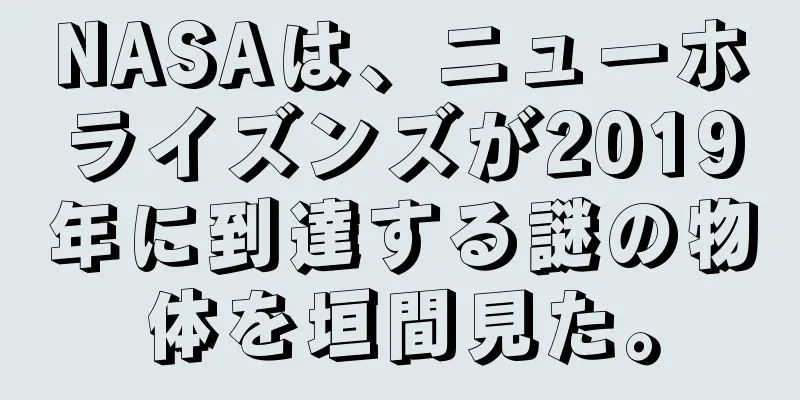 NASAは、ニューホライズンズが2019年に到達する謎の物体を垣間見た。