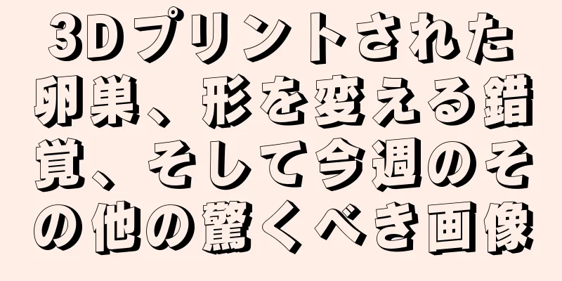 3Dプリントされた卵巣、形を変える錯覚、そして今週のその他の驚くべき画像
