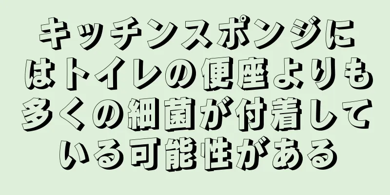 キッチンスポンジにはトイレの便座よりも多くの細菌が付着している可能性がある