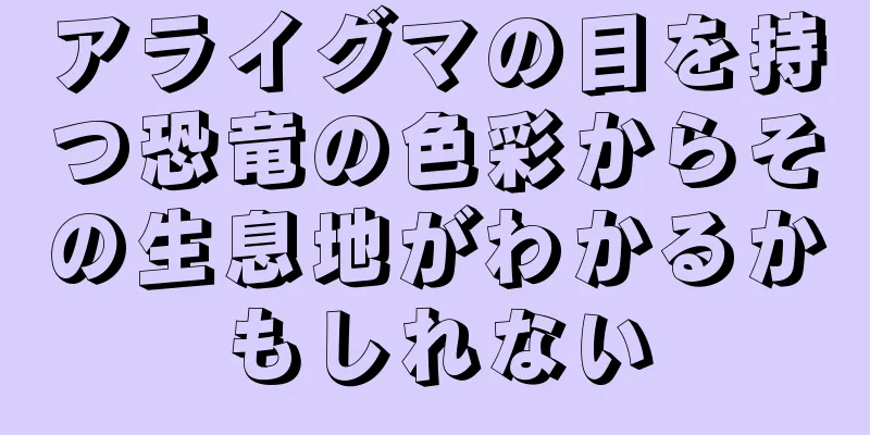 アライグマの目を持つ恐竜の色彩からその生息地がわかるかもしれない