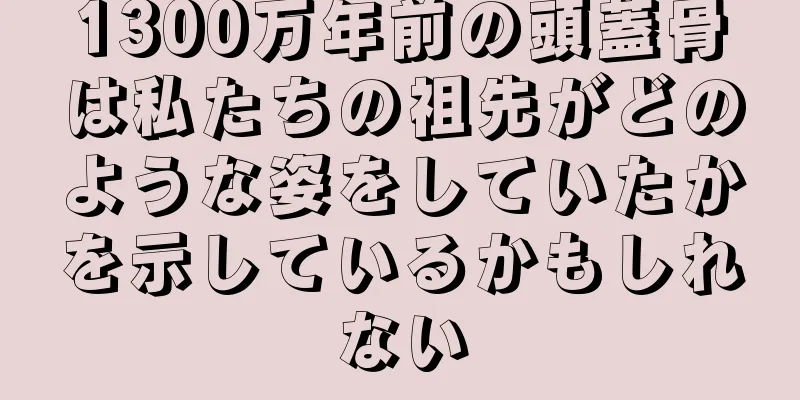 1300万年前の頭蓋骨は私たちの祖先がどのような姿をしていたかを示しているかもしれない