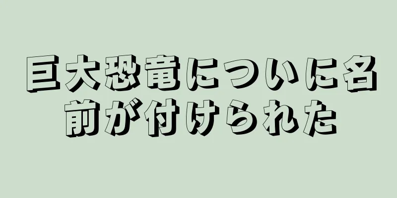 巨大恐竜についに名前が付けられた