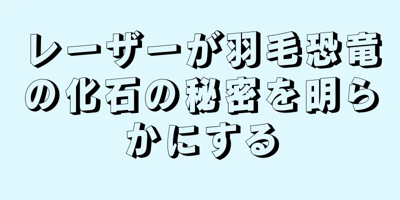 レーザーが羽毛恐竜の化石の秘密を明らかにする