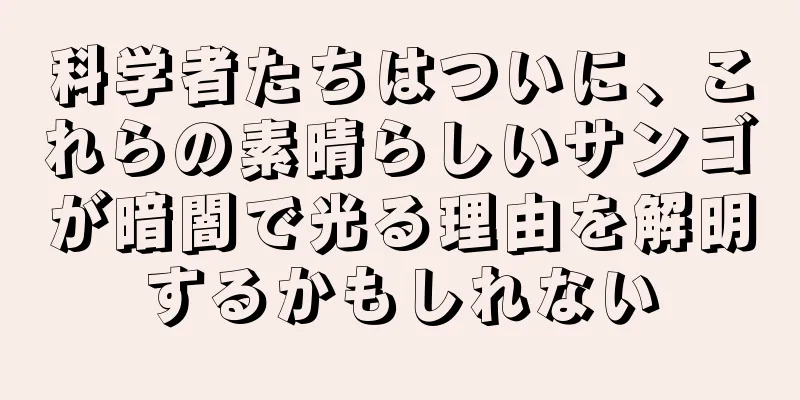 科学者たちはついに、これらの素晴らしいサンゴが暗闇で光る理由を解明するかもしれない