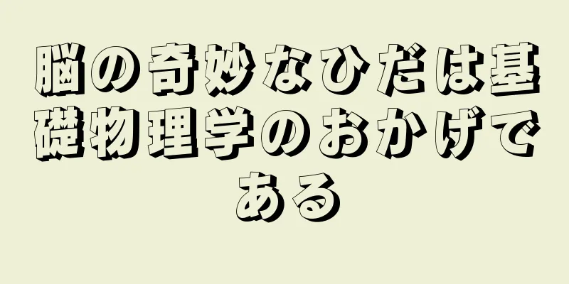 脳の奇妙なひだは基礎物理学のおかげである