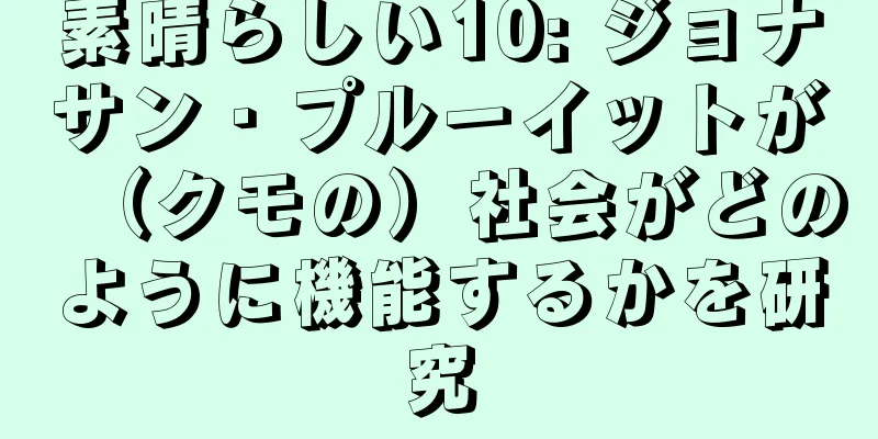 素晴らしい10: ジョナサン・プルーイットが（クモの）社会がどのように機能するかを研究
