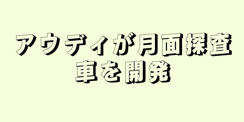 アウディが月面探査車を開発