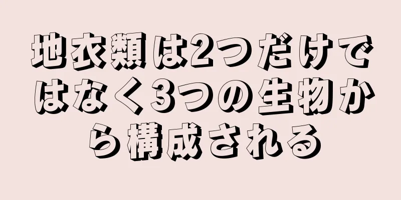 地衣類は2つだけではなく3つの生物から構成される