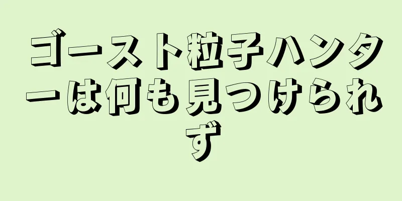 ゴースト粒子ハンターは何も見つけられず
