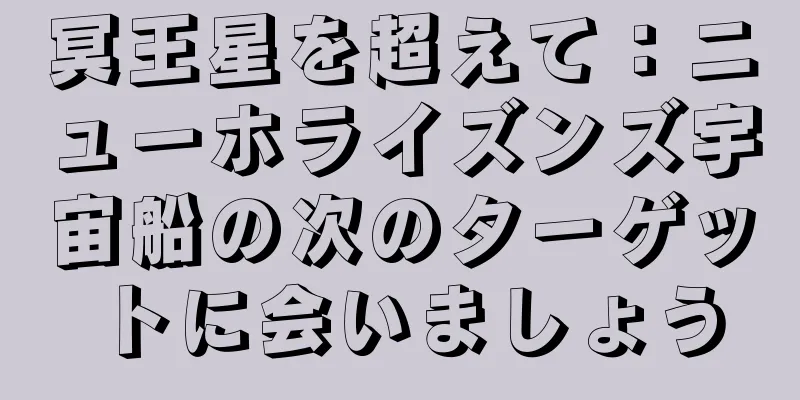 冥王星を超えて：ニューホライズンズ宇宙船の次のターゲットに会いましょう