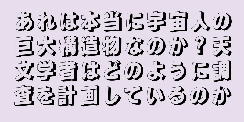 あれは本当に宇宙人の巨大構造物なのか？天文学者はどのように調査を計画しているのか