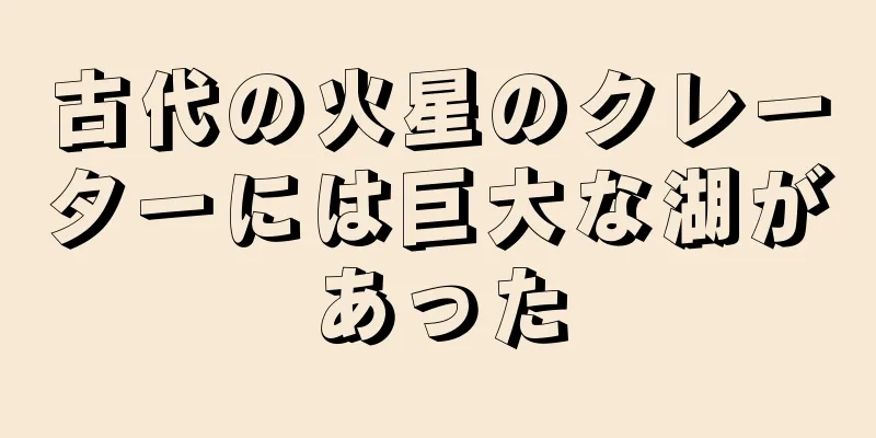 古代の火星のクレーターには巨大な湖があった