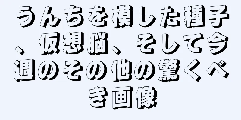 うんちを模した種子、仮想脳、そして今週のその他の驚くべき画像