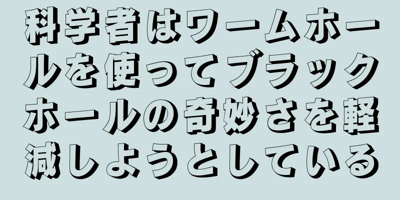 科学者はワームホールを使ってブラックホールの奇妙さを軽減しようとしている