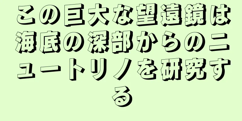 この巨大な望遠鏡は海底の深部からのニュートリノを研究する